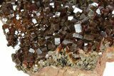 Vanadinite Cluster From Morocco - Epic Plate Of Large Crystals! #84452-3